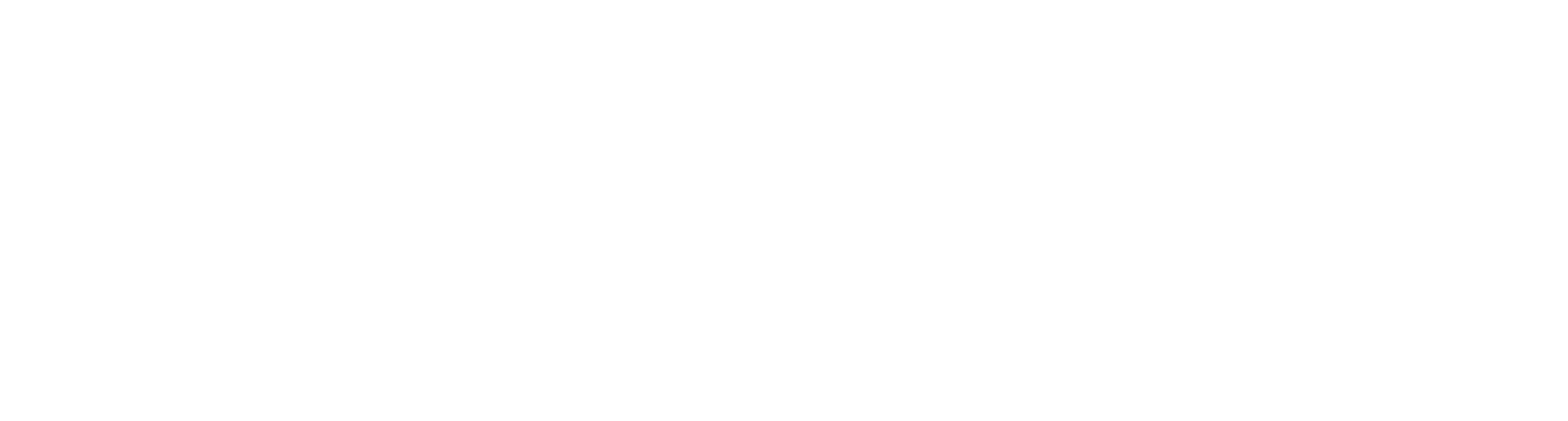 Curinovis Digital Agency